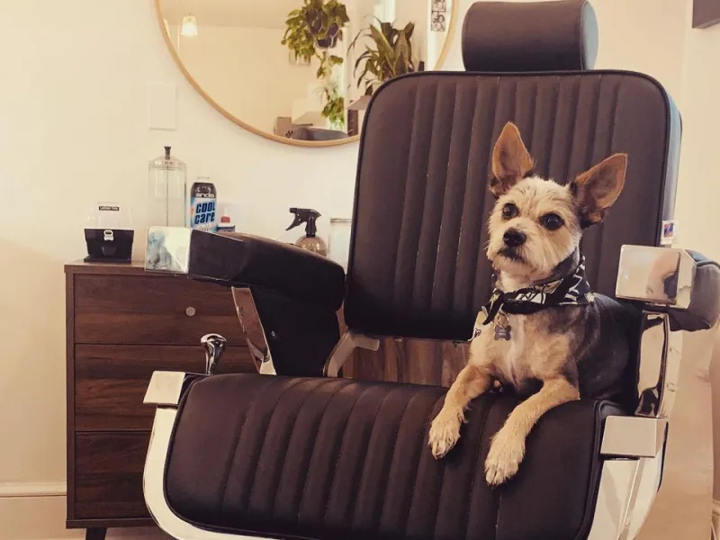 Bandit Hair Company — Wellness in New Orleans