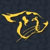 Cheetah Gym logo