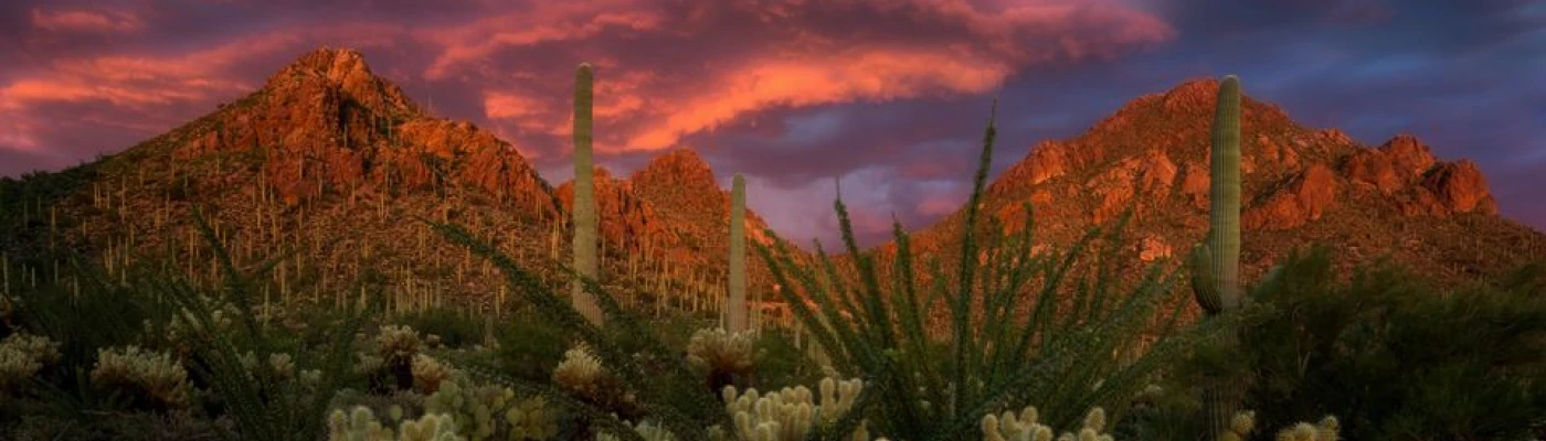 Alliance Fund — Organizations in Tucson