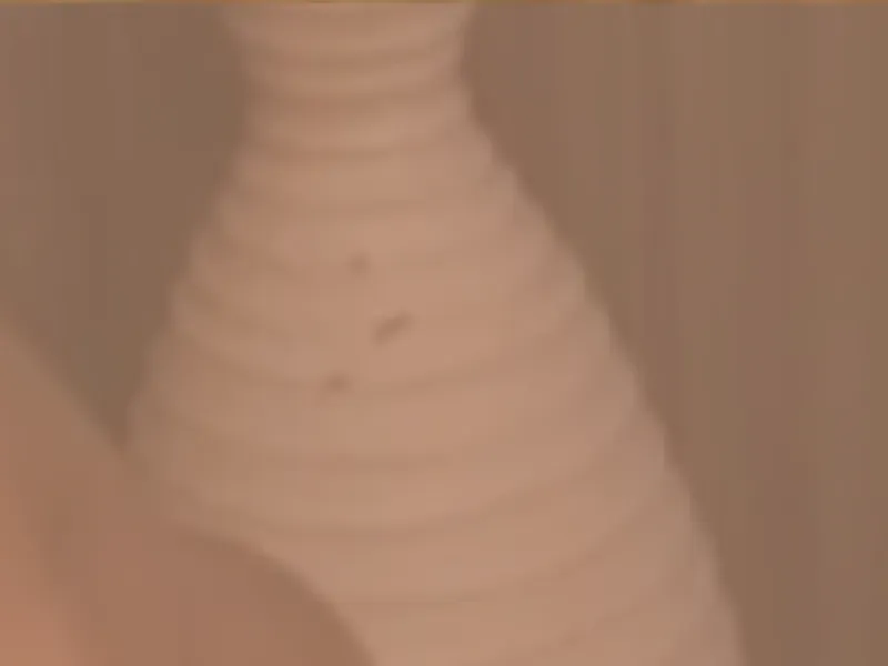 Akasaka Zen SPA Men's Aroma Oil Healing Massage near Midtown Roppongi Tokyo Minato-Ku — Wellness in Tokyo