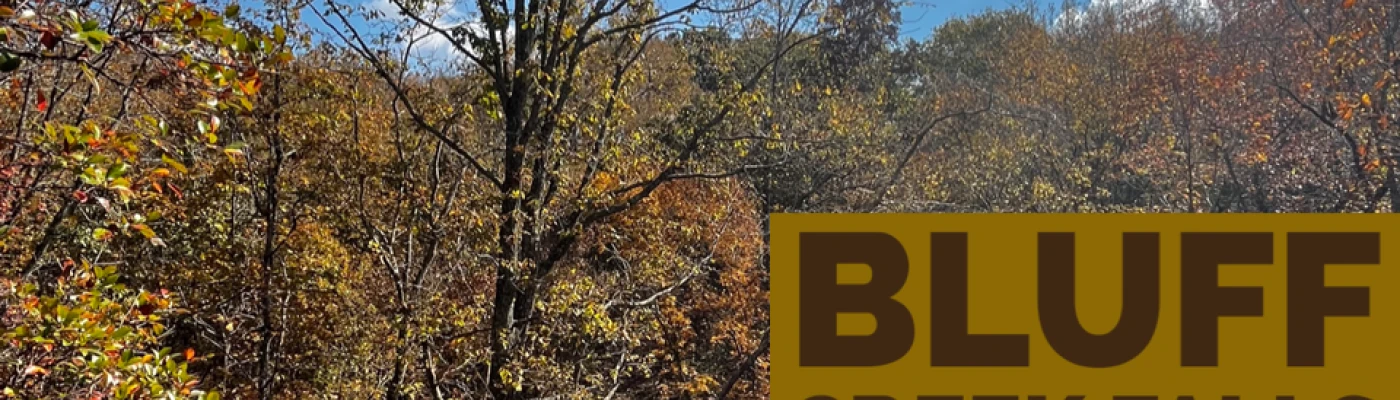 Bluff Creek Falls — Things to do in Birmingham