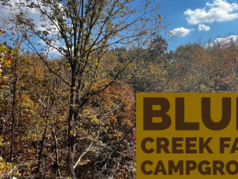 Bluff Creek Falls — Things to do in Birmingham