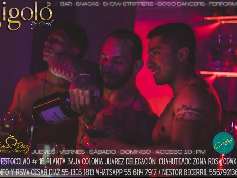 Gigoló by Coctel — Bars & Clubs in Mexico City