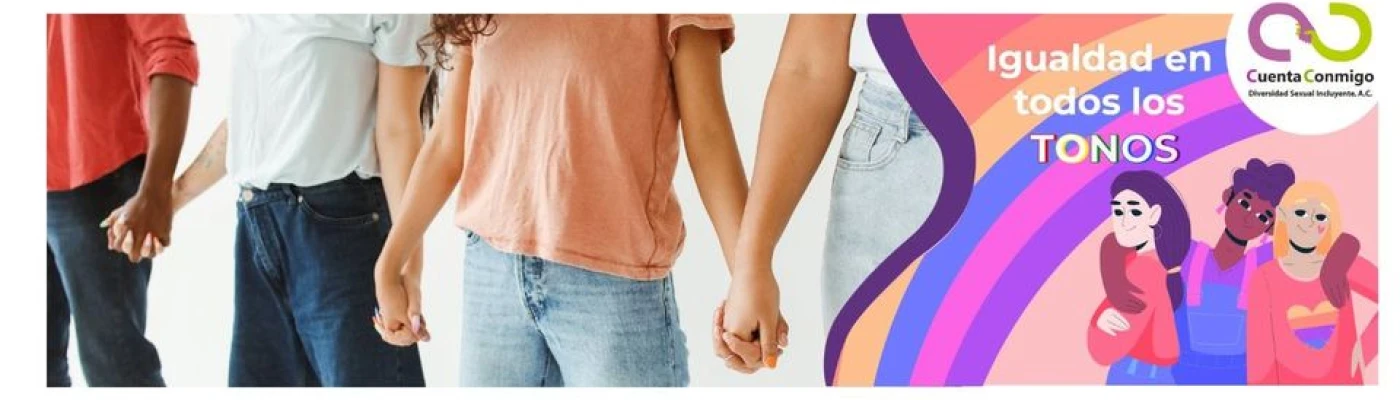 Cuenta Conmigo Diversidad Sexual Incluyente A. C. — Organizations in Mexico City