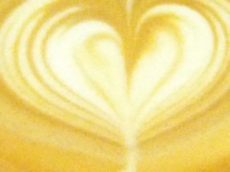 Spike's Coffees and Teas — Restaurants & Cafés in San Francisco