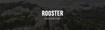 Cover image for Rooster