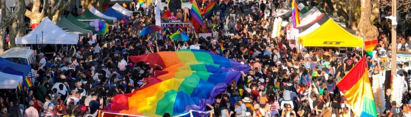 Colonia Diversa — Organizations in Montevideo