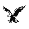 Aigle Noir logo