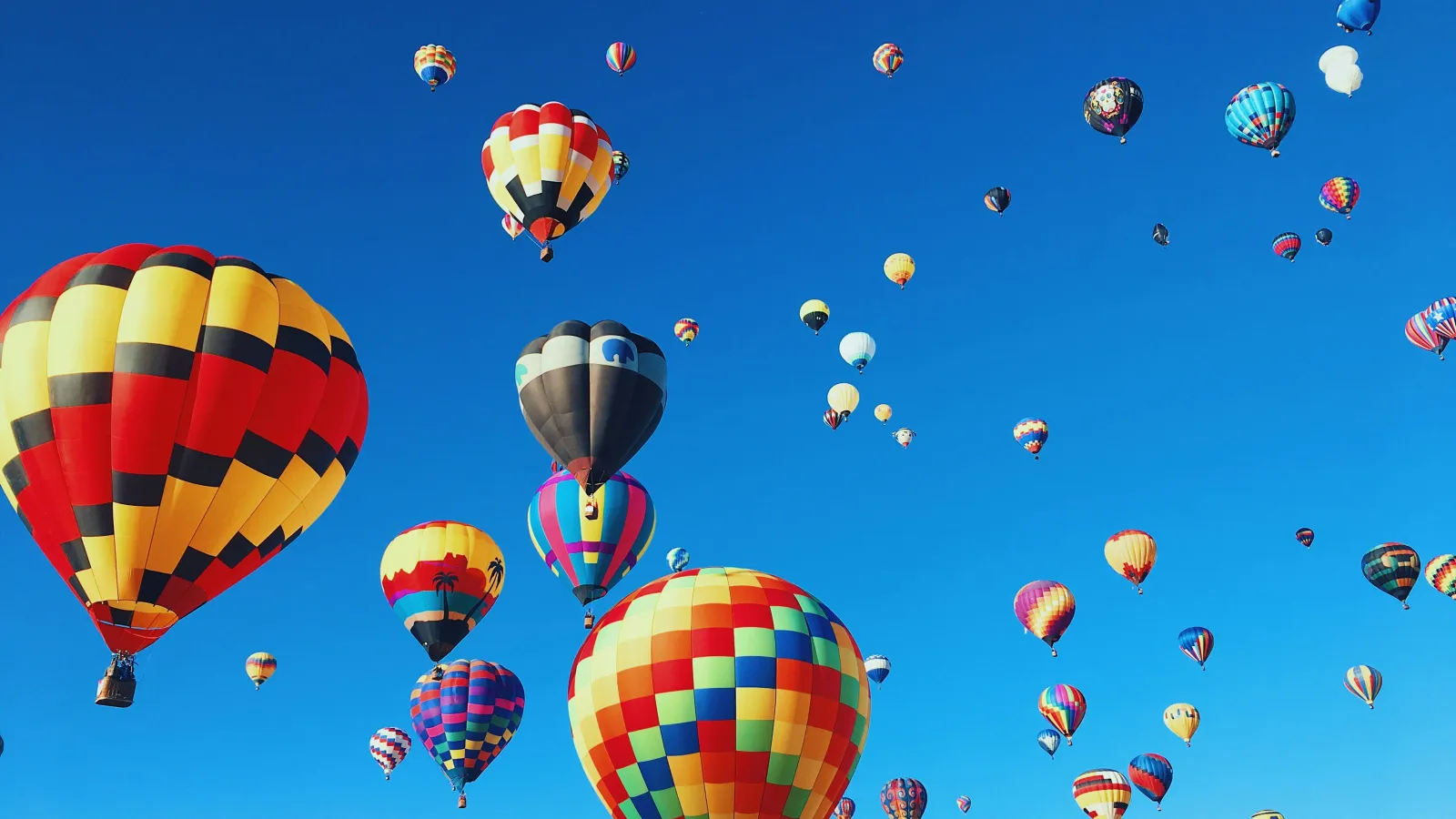 Gay Albuquerque, USA — cover photo