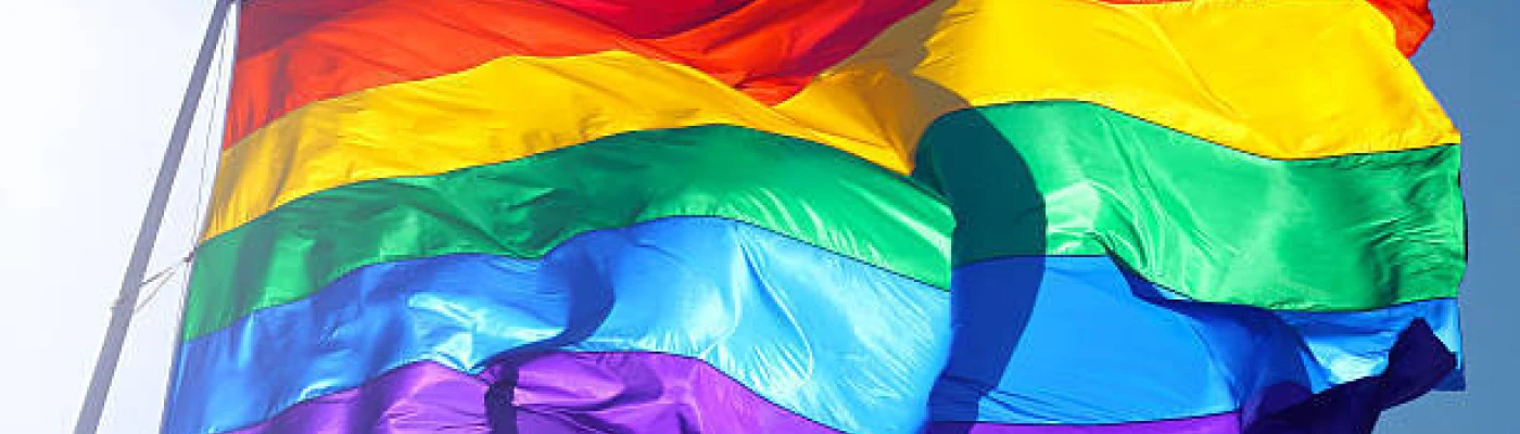 Lesbian and Gay Child and Adolescent Psychiatric Association — Organizations in Hartford