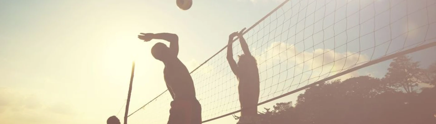 Volley Boréal — Organizations in Montreal