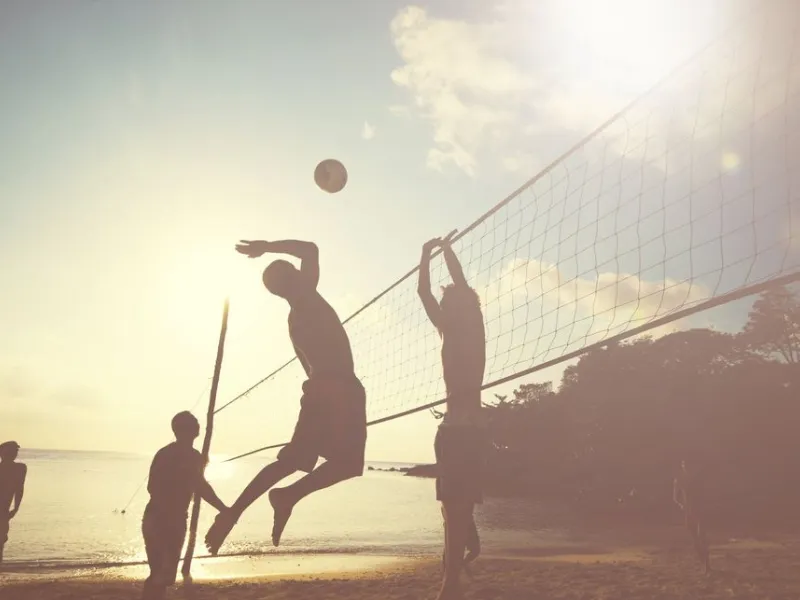 Volley Boréal — Organizations in Montreal