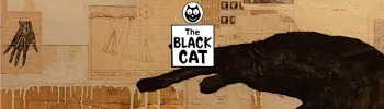 Cover image for The Black Cat