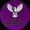 Eagle logo