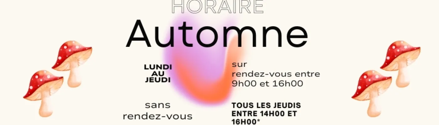 Centre De Solidarite Lesbienne — Organizations in Montreal