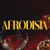 Afrodisia logo