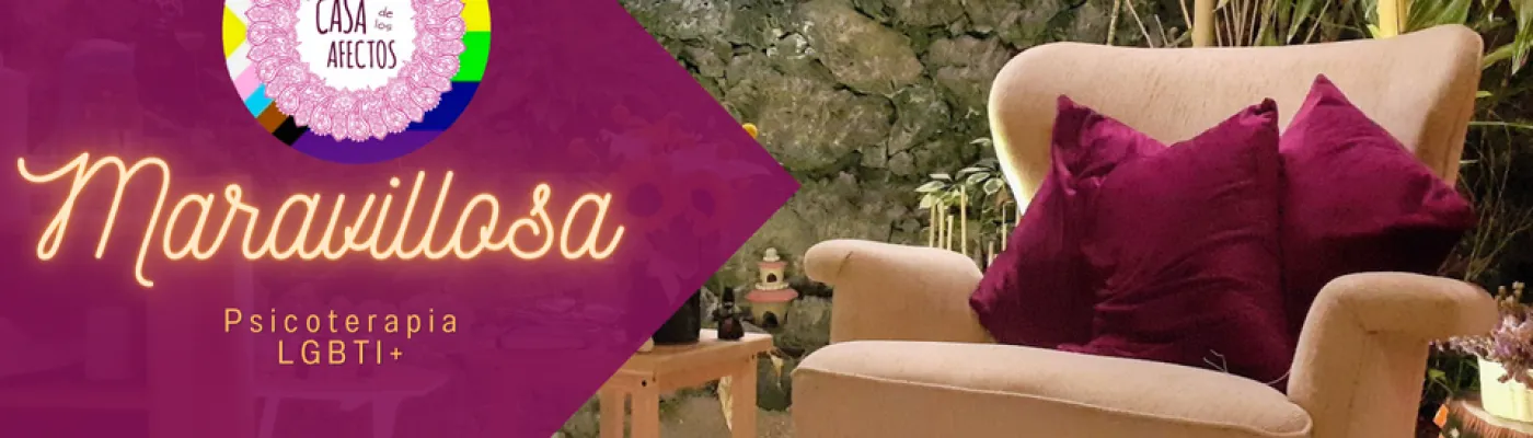 Casa de los Afectos — Wellness in Mexico City