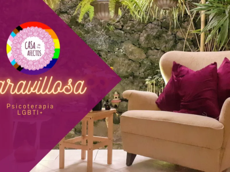 Casa de los Afectos — Wellness in Mexico City