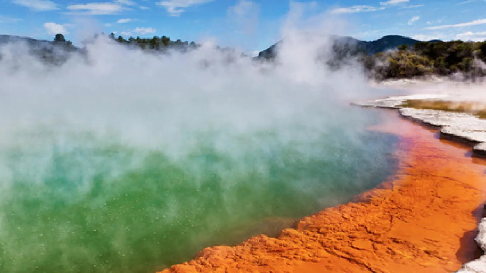 Gay Rotorua, New Zealand — cover photo