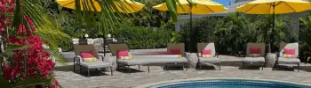 Cover image for Casa Citron