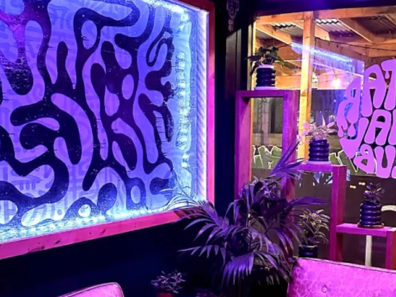 Nectar Social Club — Bars & Clubs in Oakland