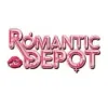 Romantic Depot Brooklyn Lingerie Store, Sex Shop, Sex Store with Adult Toys located on Flatbush Avenue logo