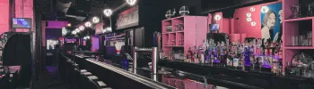 Cover image for Dani’s Queer Bar