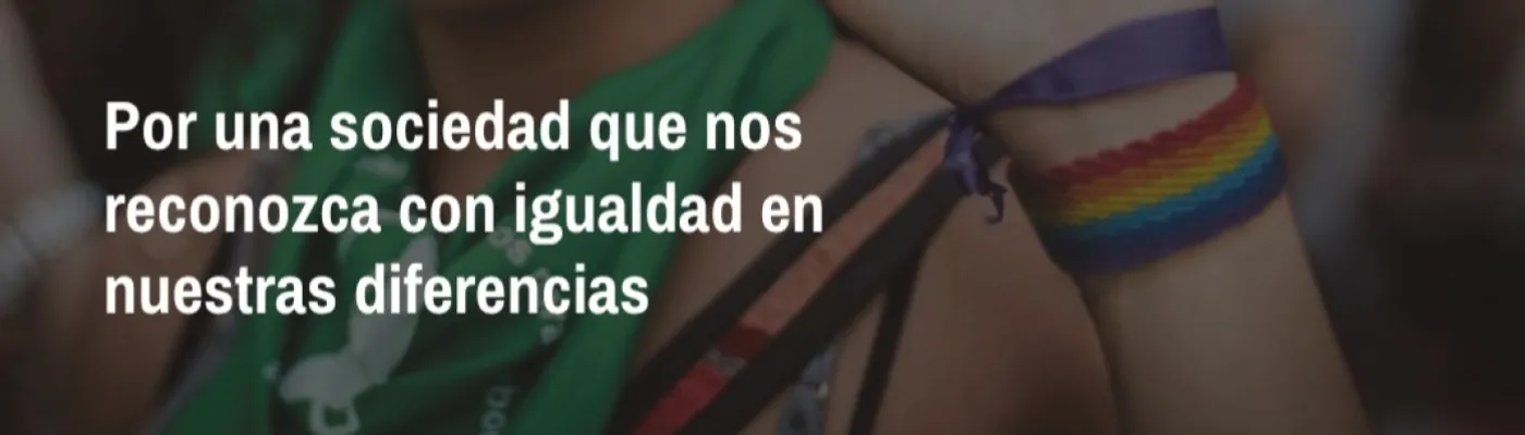100% Diversidad y Derechos — Organizations in Buenos Aires