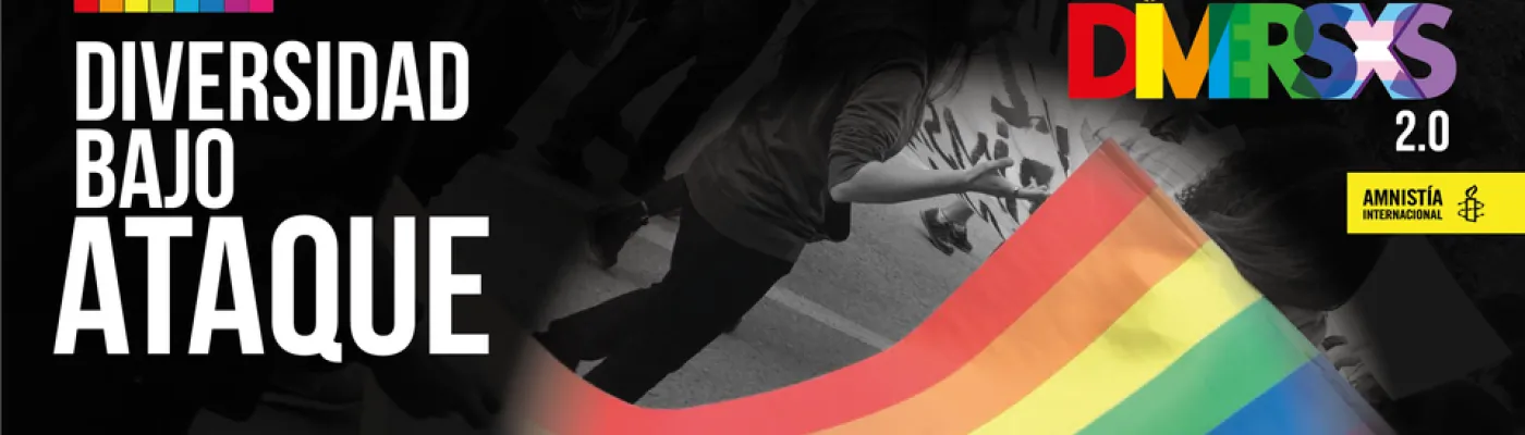 LGBTI Diversxs — Organizations in Caracas