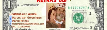 Cover image for Reinas Bar