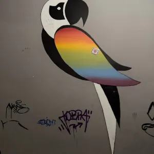 Club Papuga