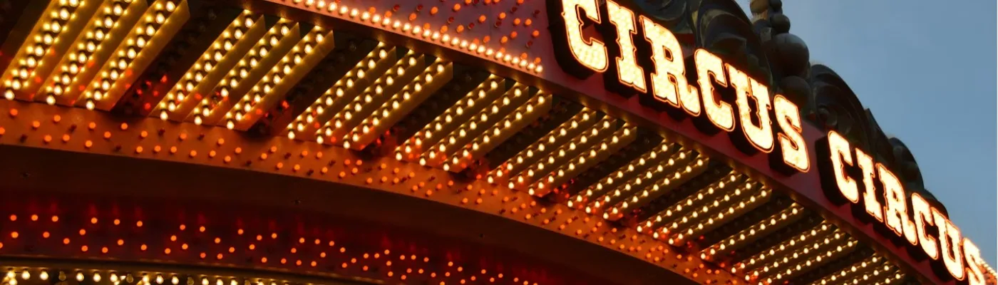 Circus(BDSM) med Nätverket in Sweden