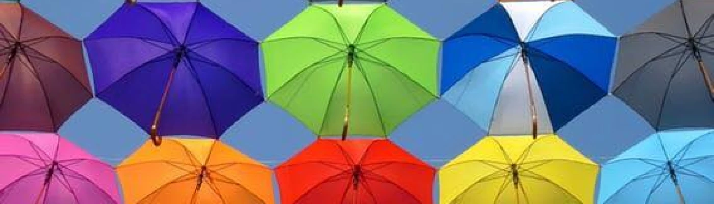 Stichting Mil Colores — Organizations in Utrecht
