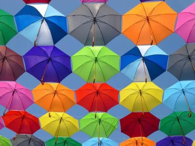 Stichting Mil Colores — Organizations in Utrecht