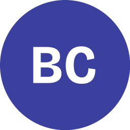 Big CEO